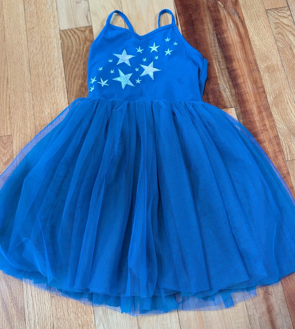 Taylor Swift Eras Tour Blue with Stars Tutu Dress Size 7
